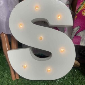 ไฟ LED รูปตัวอักษร S